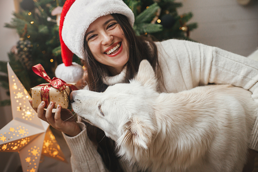 December Appointments Are Important For Your Oral Health